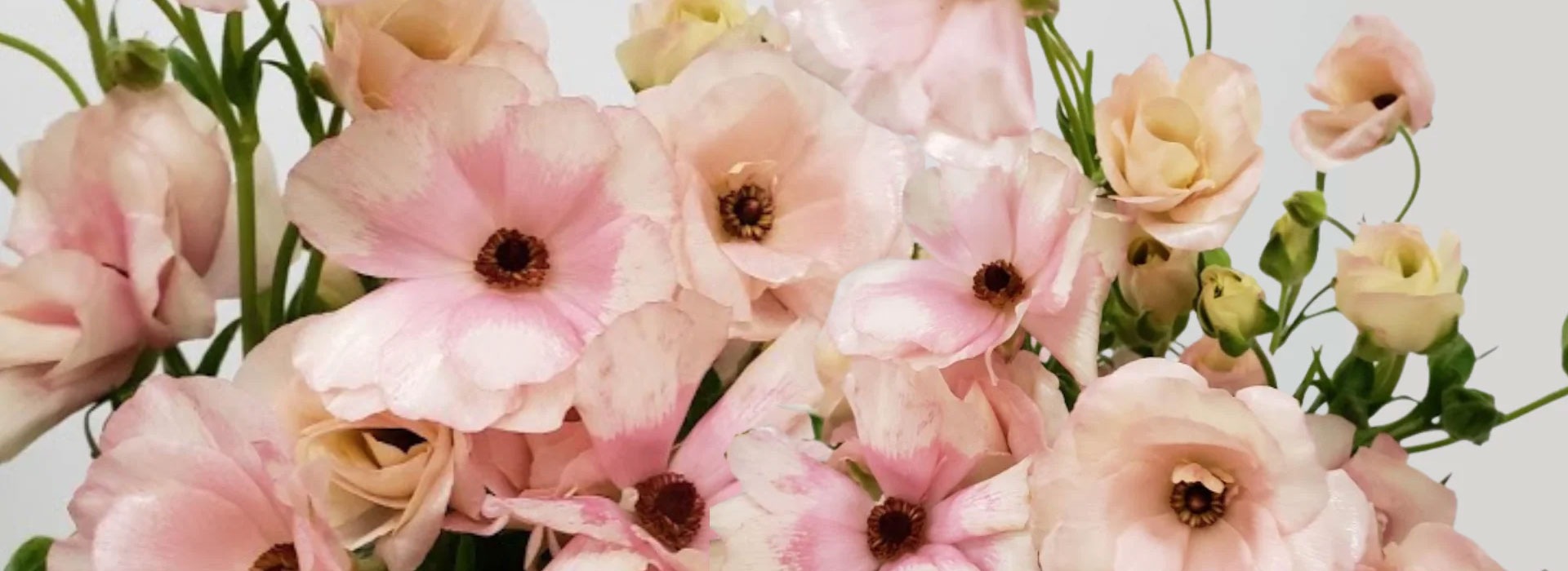 header-3
